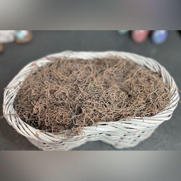 12” Basket! White, Infinity Shape No Handle Prefilled with Moss EPC - Picture 8 of 12